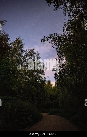 Stelle nel cielo notturno in una chiara serata estiva. Foto Stock