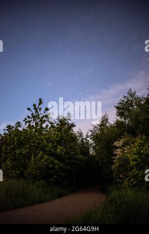 Stelle nel cielo notturno in una chiara serata estiva. Foto Stock