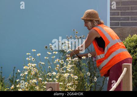 Hampton Court, Inghilterra, 2 luglio 2021: Sono in corso i preparativi per lo spettacolo floreale RHS Hampton Court che apre martedì. Sono state inoltre adottate misure di sicurezza per garantire che l'evento possa avvenire in modo sicuro. Rachel Royse/Alamy Live News Foto Stock