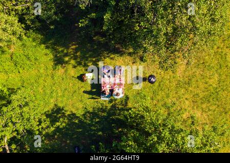 Vista dall'alto gli amici che cucinano barbecue all'aperto bere birra conversando godendo la natura Foto Stock