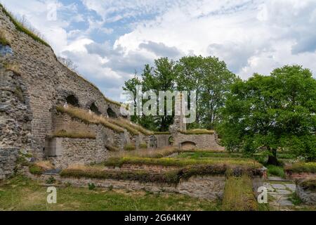 Alvastra, Svezia - 20 giugno 2021: Vista delle rovine dell'abbazia di Alvastra nella Svezia meridionale Foto Stock