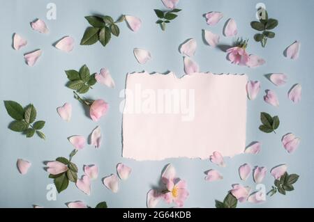 carta bianca, boccioli rosa fiori e petali di rosa, foglie verdi sono disposti su uno sfondo blu Foto Stock