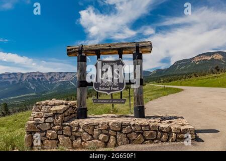 Cartello di confine per Shoshone National Forest lungo Chief Josepth Scenic Byway, Shoshone National Forest, Wyoming, USA Foto Stock