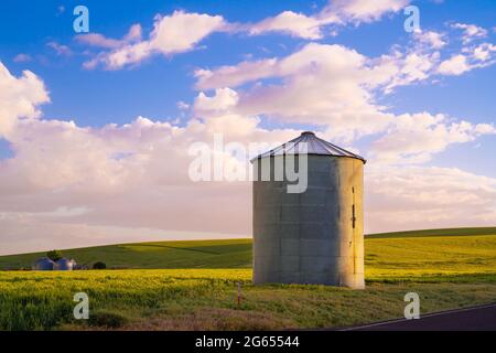 Vista del silo di grano industriale dalla fattoria di grano nello stato di Palouse Washington Foto Stock