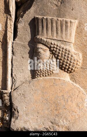 Persepolis, rilievo delle rovine di Apadana, capitale dell'impero achemenide, sobborgo di Shiraz, Provincia di Fars, Iran, Persia, Asia occidentale, Asia Foto Stock