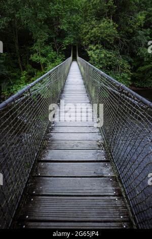 Ponte sospeso su un fiume circondato da una vegetazione lussureggiante. Ponte CAL Grande nel Parco Naturale Fragas do Eume, Galizia. Foto Stock