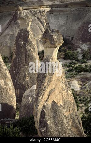 Punto di riferimento della natura in Turchia i camini delle fate sono formazioni rocciose vulcaniche in Cappadocia vicino Zelve Foto Stock