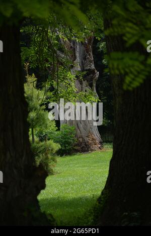 Cherry Hinton Hall Park Cambridge UK Estate 2021 Foto Stock