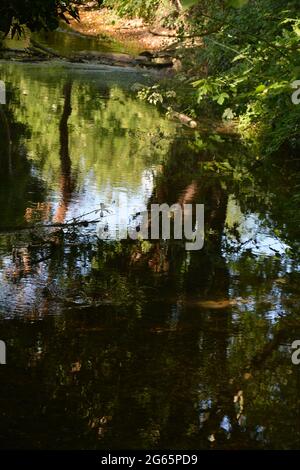 Puramente bello British Landscape Estate 2021, Cherry Hinton Hall Park Cambridge UK Foto Stock