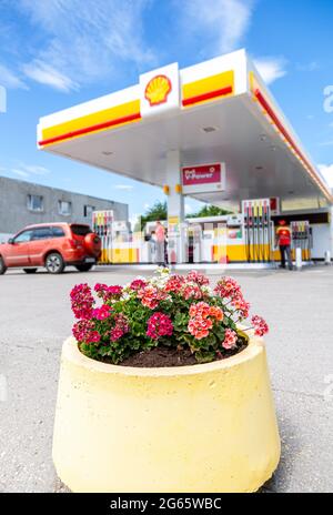 Samara, Russia - 2 luglio 2021: Fiori contro l'immagine blured di Shell V-power fuel station. Fuoco selettivo sui fiori Foto Stock