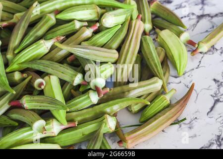 Okra o Okro, Abelmoschus esculentus, pianta delle dita delle Signore. È apprezzato per i suoi baccelli di semi verdi commestibili. RAW Food, Copy Space. Foto Stock