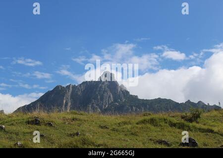 Un campo con una montagna sullo sfondo Foto Stock