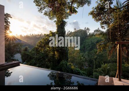 Alba nella giungla a Ubud, Bali, Indonesia Foto Stock