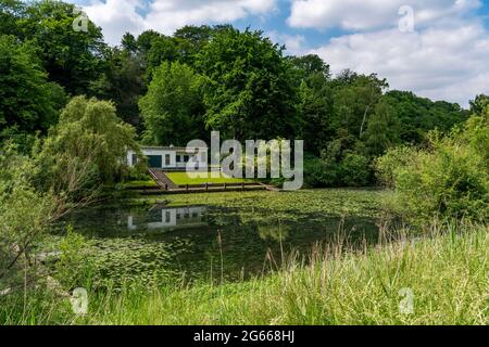 Holteyer Hafen, ex porto di rifugio artificiale sulla Ruhr vicino Essen-Überruhr, chiuso nel 1880, ora biotopo, area di conservazione del paesaggio, NRW, Germi Foto Stock