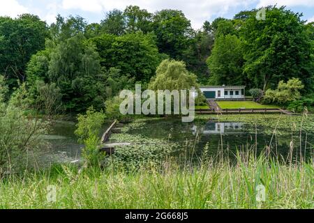 Holteyer Hafen, ex porto di rifugio artificiale sulla Ruhr vicino Essen-Überruhr, chiuso nel 1880, ora biotopo, area di conservazione del paesaggio, NRW, Germi Foto Stock