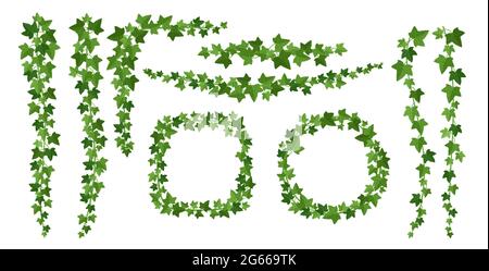 Set di illustrazioni vettoriali piatte con cornici in edera verde Illustrazione Vettoriale