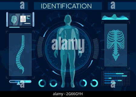 Illustrazione piatta del processo di identificazione futuristico. Sistema di riconoscimento intelligente, scansione completa del corpo. Modello digitale umano, colonna vertebrale e torace con personale Illustrazione Vettoriale