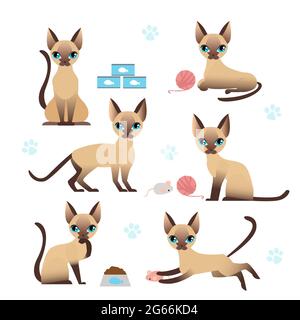 Illustrazione vettoriale insieme di carino gattino in varie pose con le stampe di zampa di gatto su sfondo bianco. Raccolta di gatto in diverse posizioni - gioco Illustrazione Vettoriale