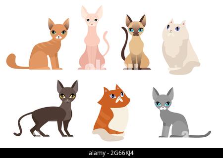 Insieme di illustrazioni vettoriali di diverse razze di gatti, carino raccolta di animali da compagnia, diversi gatti su sfondo bianco in stile piatto cartoon. Illustrazione Vettoriale