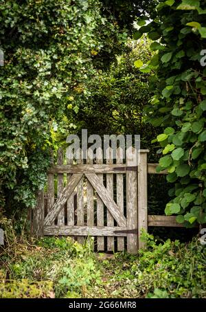 Rustico vecchio cancello giardino in legno circondato da vegetazione verde Foto Stock