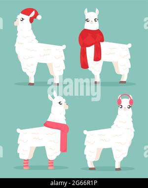 Illustrazione vettoriale del lama invernale. Alpaca in set di abiti invernali. Concetto di carta di Natale con lama in cappello e sciarpa, biglietto d'auguri in cartone animato Illustrazione Vettoriale