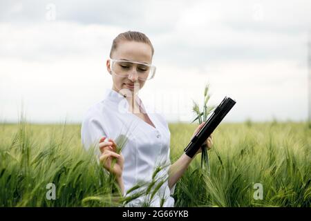 Giovane ecologista donna scienziata in occhiali in piedi in campo verde e lavorando su vetro schermo trasparente. Foto Stock