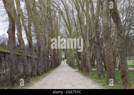 Parigi, Francia. 26 Marzo 2021. Dominio Nazionale di Marly-le-Roi e il suo parco il 26 marzo 2021 a Marly-le-Roi, Francia. Credito: Gerard Crossay/Alamy Foto Stock