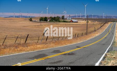 La centrale eolica di Shiloh è una fattoria eolica situata nelle colline di Montezuma, nella contea di Solano, California, Stati Uniti, vicino a Bird's Landing e Collinsville. Foto Stock