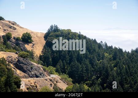 Mt. Tamalpais nella contea di Marin, nel nord della California, Stati Uniti. Foto Stock