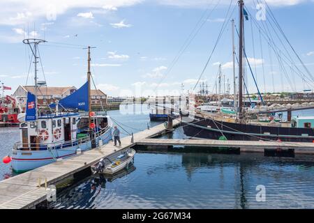 Barche a Hartlepool Marina, Hartlepool, Contea di Durham, Inghilterra, Regno Unito Foto Stock