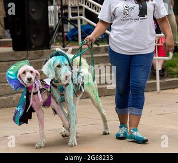 Roswell, New Mexico, Stati Uniti. 03 luglio 2021. Gli esseri umani vestono i loro animali domestici per competere nel concorso di costumi per animali domestici AlienFest durante il festival UFO di Roswell 2021. Sito di un presunto incidente di astronave aliena il 7 luglio 1947, la città di Roswell ha abbracciato le controversie che circondano quel [non]evento e messo su un festival che attrae i teorici della cospirazione, i loro minion e turisti curiosi. Credit: Brian Cahn/ZUMA Wire/Alamy Live News Foto Stock