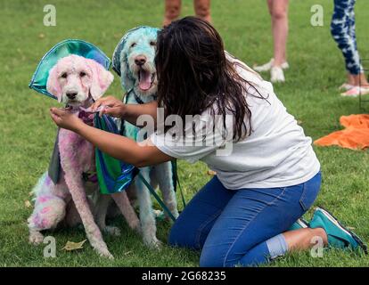 Roswell, New Mexico, Stati Uniti. 03 luglio 2021. Gli esseri umani vestono i loro animali domestici per competere nel concorso di costumi per animali domestici AlienFest durante il festival UFO di Roswell 2021. Sito di un presunto incidente di astronave aliena il 7 luglio 1947, la città di Roswell ha abbracciato le controversie che circondano quel [non]evento e messo su un festival che attrae i teorici della cospirazione, i loro minion e turisti curiosi. Credit: Brian Cahn/ZUMA Wire/Alamy Live News Foto Stock