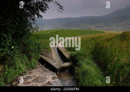 Fantastici campi di riso uno stile di agricoltura nella provincia di Yunnan Cina meridionale Foto Stock