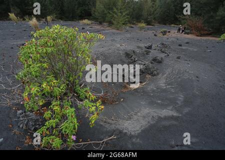 Eruzione dello stretto di Anakkraktau Sunda Indonesia Foto Stock