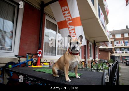 Tinkerbell, l'animale domestico di famiglia di Chris, veduto indossare un collare con il cross.A del St George's tifoso di calcio, Chris Ralph Dowes, Ha organizzato la decorazione di oltre 400 bandiere di St George esposte nella tenuta di Kirby nel sud-est di Londra insieme ad altri residenti prima dell'inizio del torneo di UEFA Euro 2020. La tradizione della tenuta di mettere in su centinaia delle bandiere di San Giorgio è stata dal 2012 Euro ed ogni volta i residenti sono riusciti ad inserire più bandiere nella tenuta. Durante ogni partita del team inglese, Chris sarà l'ospite e inviterà gli altri residenti a unirsi a guardare. Ha detto tutto Foto Stock