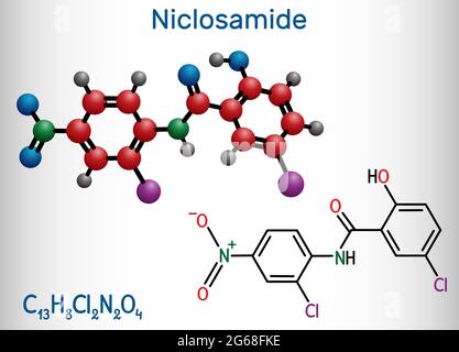 Molecola di Nicolosamide. Si tratta di salicilanilide clorurato, farmaco antielmintico per il trattamento delle infezioni da tapiworm. Formula chimica strutturale e. Illustrazione Vettoriale