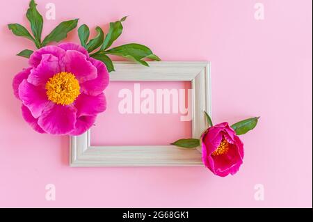 Elegante mockup di branding per mostrare il tuo design. Mock up su sfondo rosa pastello fatto di cornice fotografica e fiori di peony fioritura. Vista dall'alto in posizione piatta Foto Stock