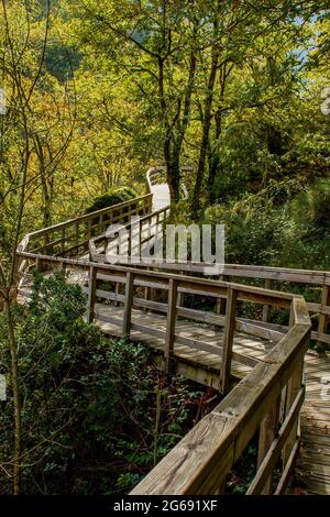 Passerella in legno nel Mao River Canyon, Ribeira Sacra, Galizia, Spagna Foto Stock