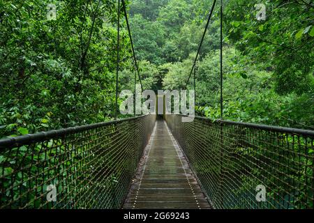 Verde foresta vecchia crescita con ponte sospeso sul fiume nel parco naturale Fragas do Eume, Galizia, Spagna Foto Stock