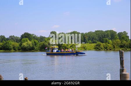 Blitterswijck, Paesi Bassi - 1 luglio. 2021: Vista sul traghetto per piccoli passeggeri e biciclette (voet- en fietsveer) sul fiume maas in estate Foto Stock