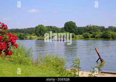 Blitterswijck, Paesi Bassi - 1 luglio. 2021: Vista sul traghetto per piccoli passeggeri e biciclette (voet- en fietsveer) sul fiume maas in estate Foto Stock