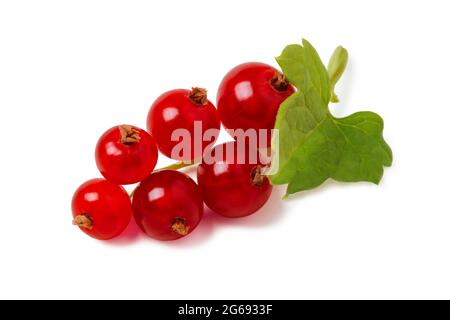 Ciuffo di bacche di ribes rosso da vicino isolato su bianco Foto Stock