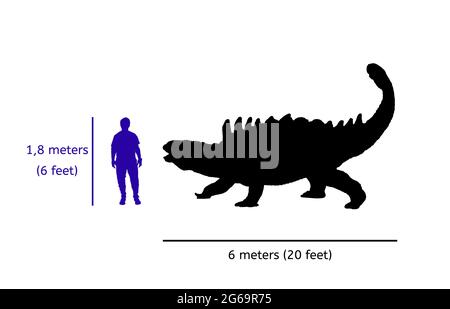 Confronto delle dimensioni tra ankylosaurus e umano. Illustrazione della silhouette del corpo di ankylosaurus rispetto al corpo umano Foto Stock