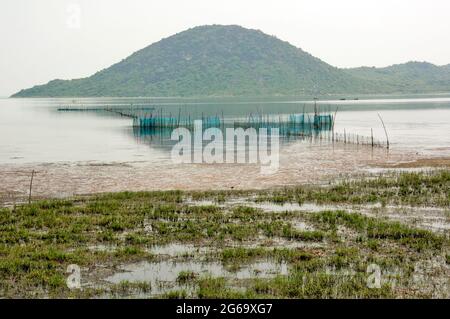 paesaggio naturale del lago di chilka rambha odisha Foto Stock