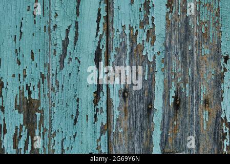 Vecchia parete rustica di tavole di legno con vernice blu turchese peeling, sfondo grunge o struttura Foto Stock