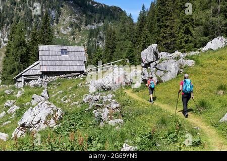 Madre e figlio escursioni a capanne pastorelle a Planina Visevnik e segno per planina Ovcarija su una roccia nelle colline sopra Bohinj, Slovenia Foto Stock
