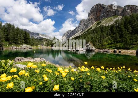 Doppio lago nella Valle dei Laghi di Triglav. Slovenia Foto Stock