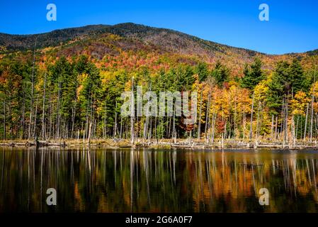 Autunno colori riflessione vicino Whiteface montagna nel Adirondack Foto Stock