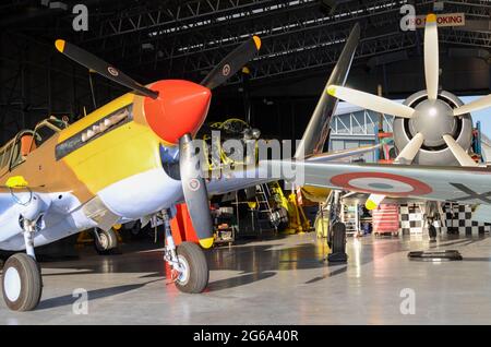 Restaurati aerei da combattimento della seconda guerra mondiale nell'hangar di Duxford, Regno Unito. Aerei e attrezzature della seconda guerra mondiale da aereo P-40 e Sea Fury Foto Stock