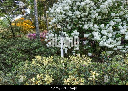 Birdhouse in a garden in North Carolina Foto Stock
